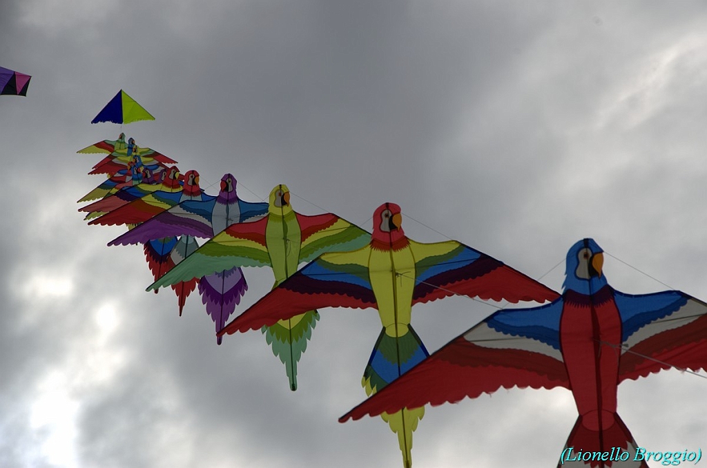 RIMINI 2012 - 297.jpg